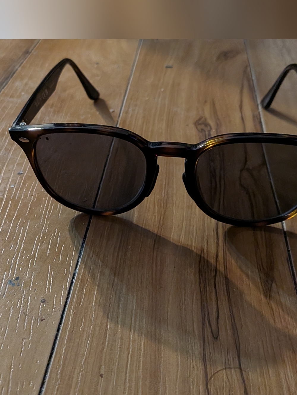 Unisex Ray-Ban Brown Tortoise Temple Arm with Light Blue Print
